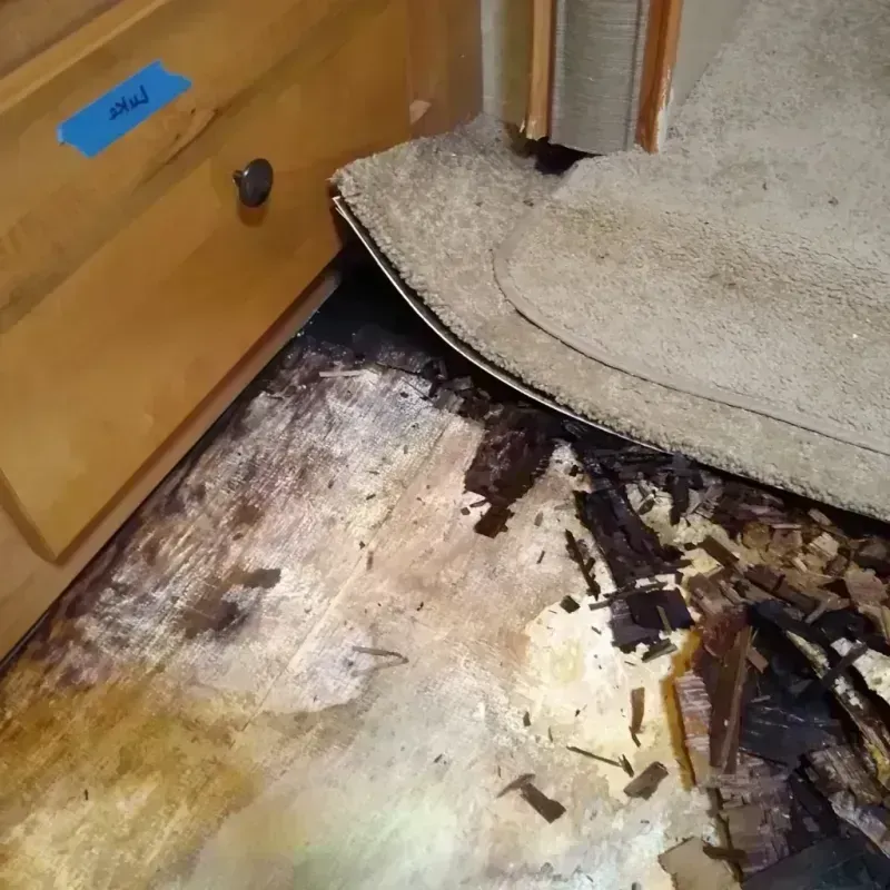 Best Wood Floor Water Damage Service in Emmet County, MI